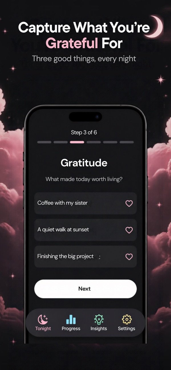Evening Reset-Record Journal screenshot 3